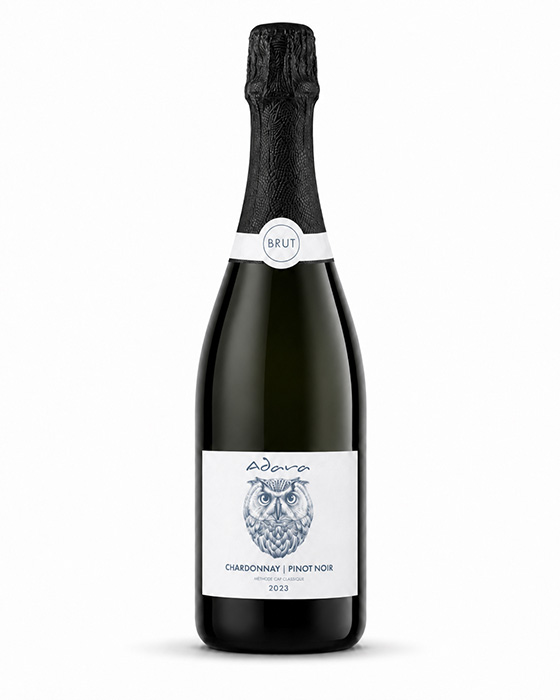 Adara MCC 2022